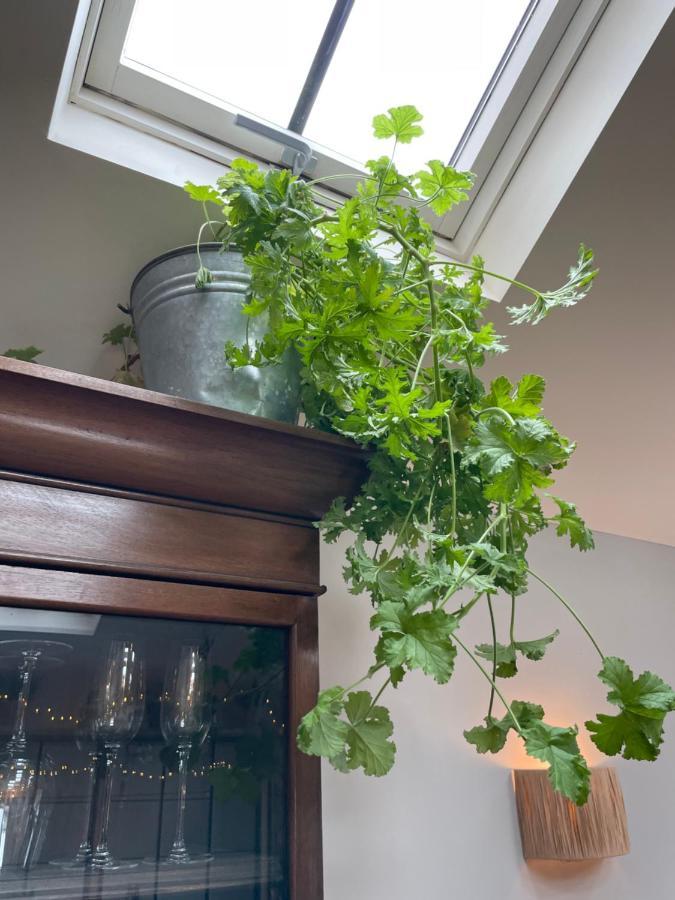 The Walled Garden At Cheshire Boutique Bathhouse Нантуич Екстериор снимка